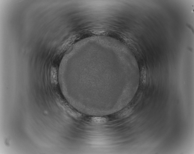 X0000102380234200808221809