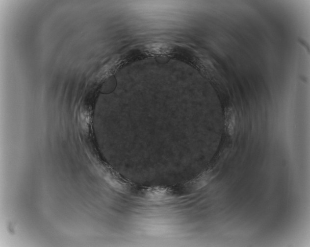 X0000102380235200808221809