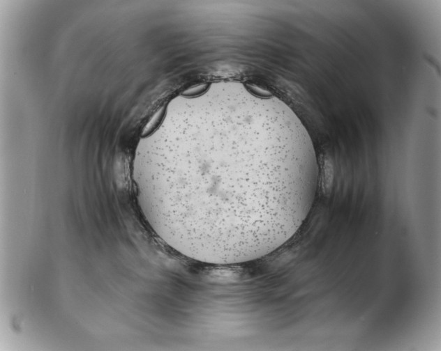 X0000102380236200808221809