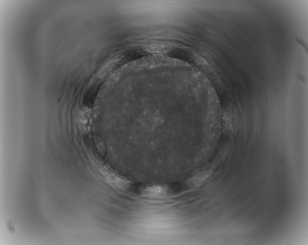 X0000102380237200808221809