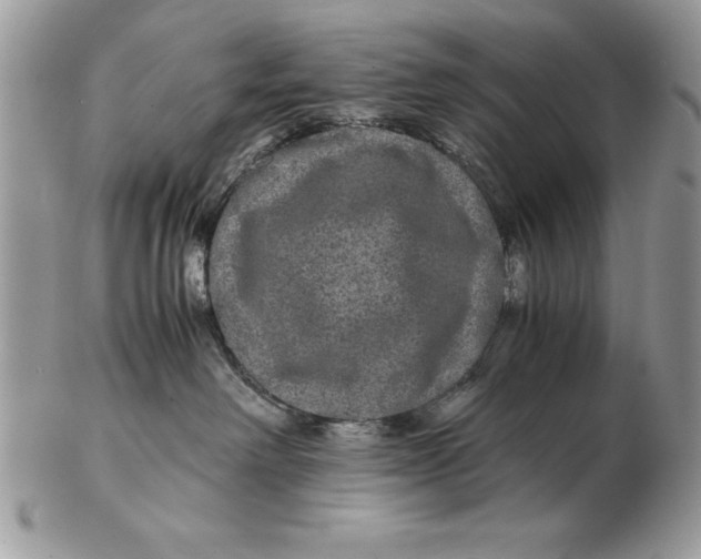 X0000102380238200808221809