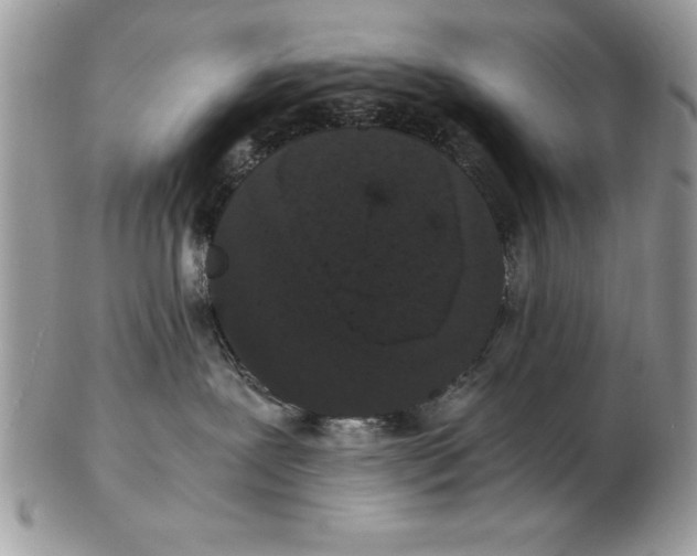 X0000102380239200808221809