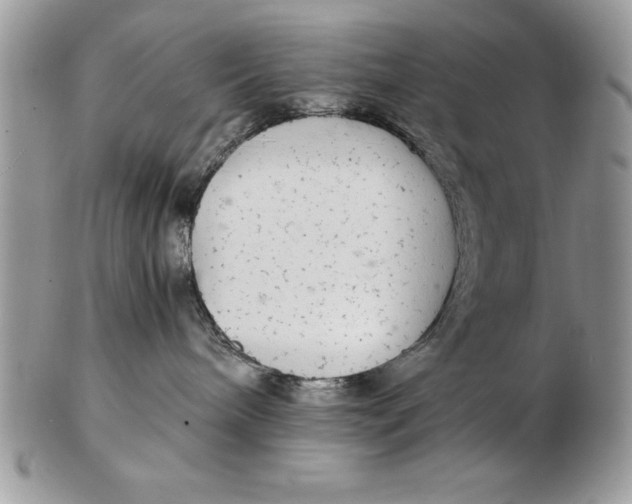 X0000102380240200808221809