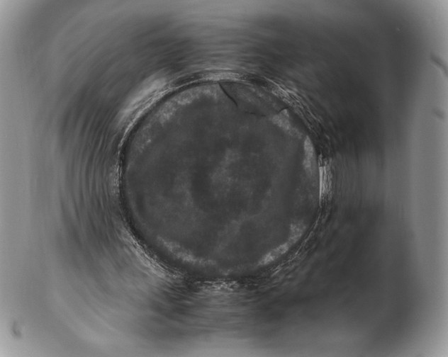 X0000102380243200808221808