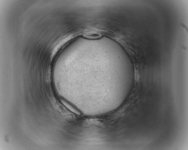 X0000102380244200808221808