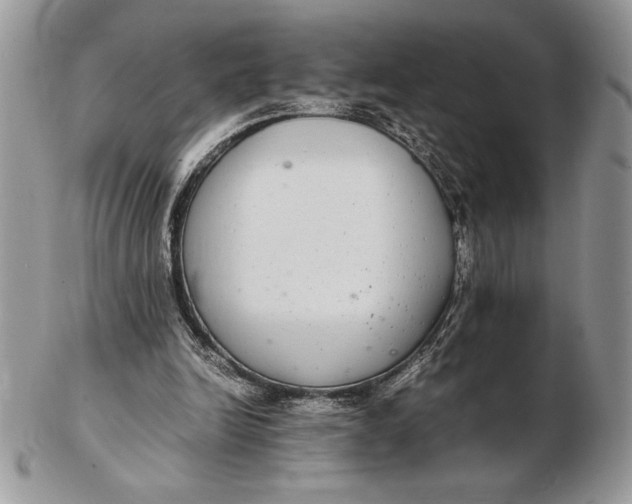 X0000102380246200808221808