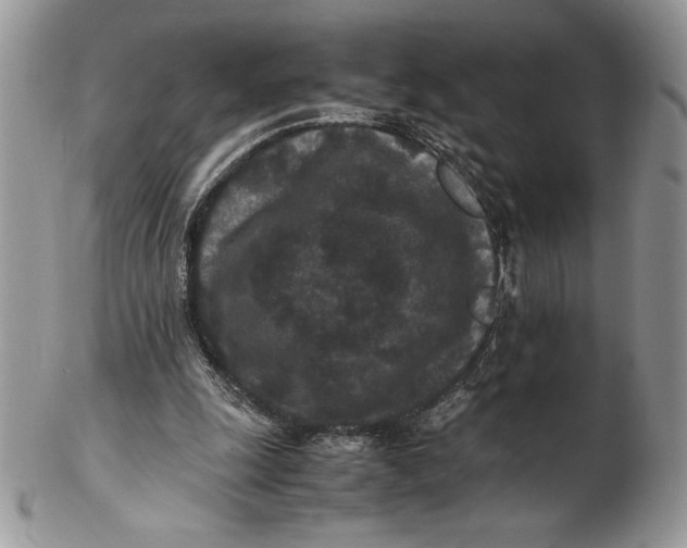 X0000102380247200808221808