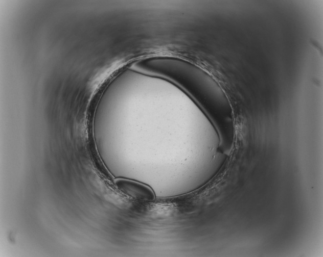 X0000102380248200808221808