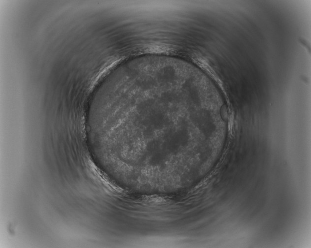 X0000102380249200808221808