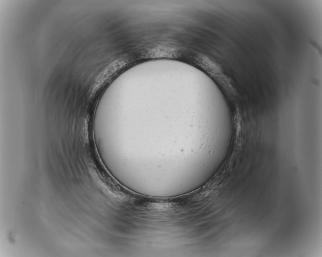 X0000102380250200808221808