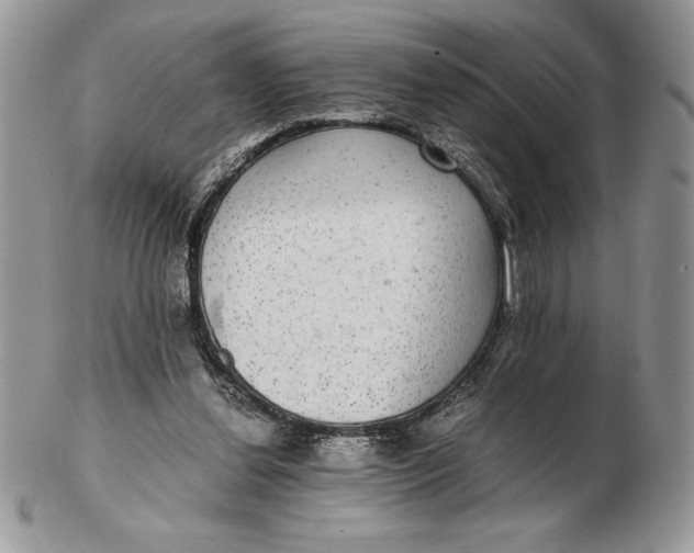 X0000102380252200808221808