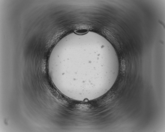 X0000102380255200808221808