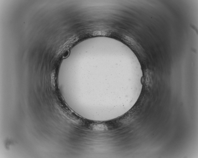 X0000102380258200808221808