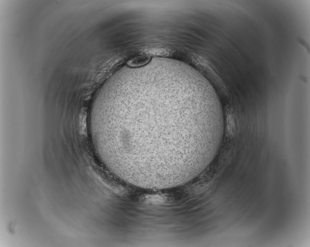 X0000102380259200808221808