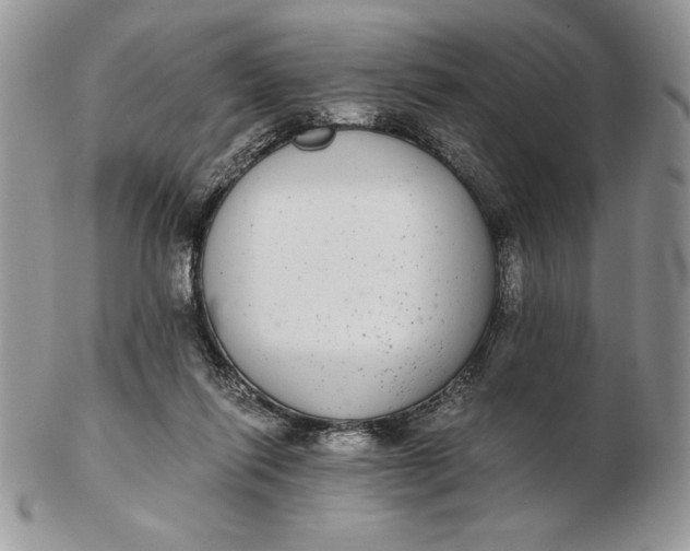 X0000102380262200808221808