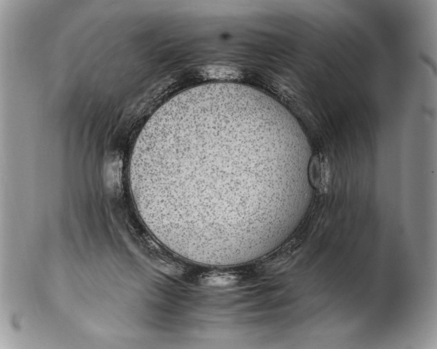 X0000102380263200808221808