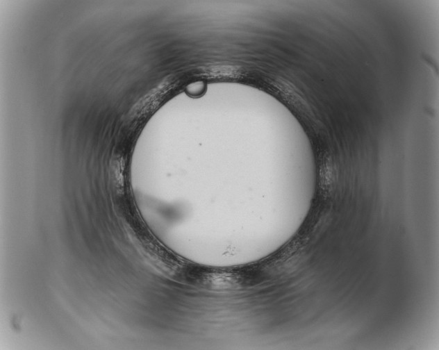 X0000102380264200808221808