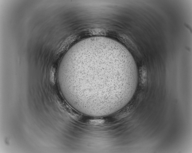 X0000102380266200808221808