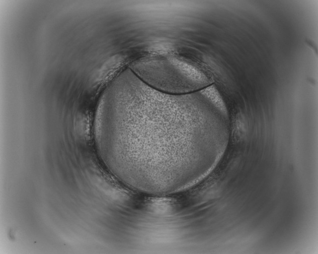 X0000102380268200808221809