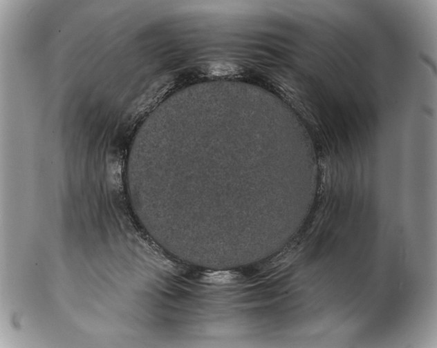 X0000102380269200808221809