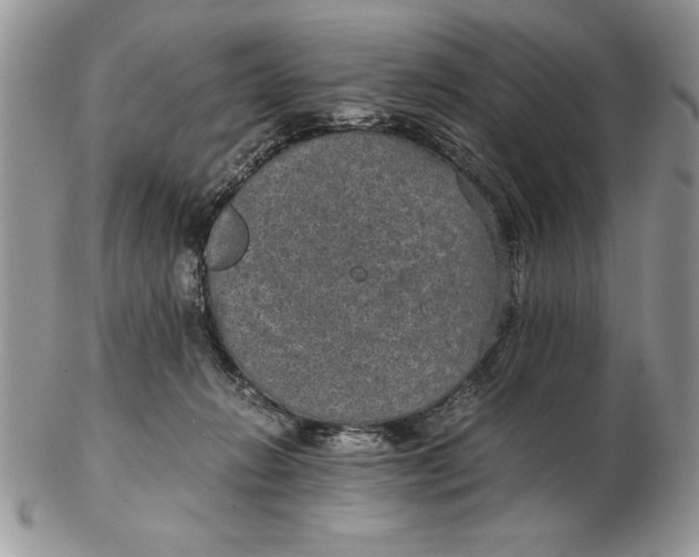 X0000102380270200808221809