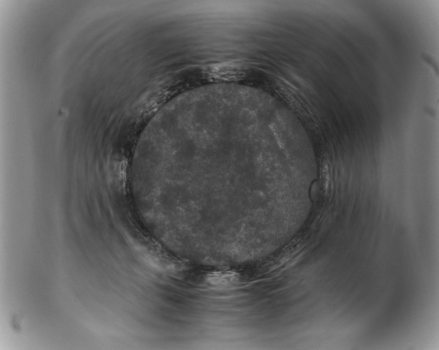 X0000102380271200808221809