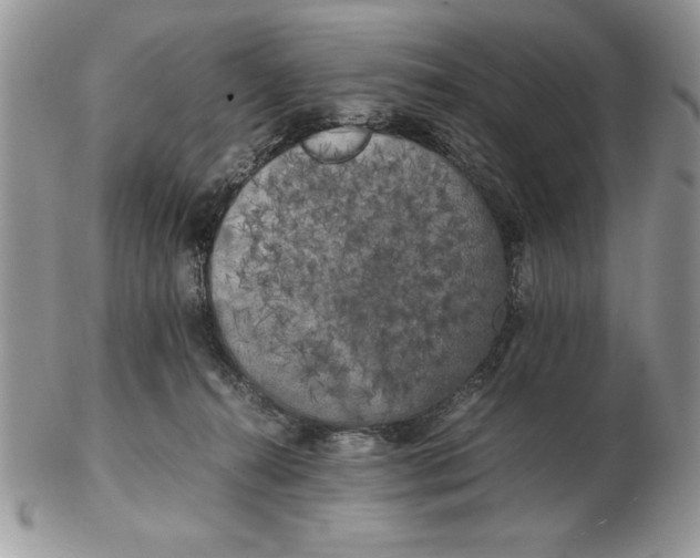 X0000102380272200808221809