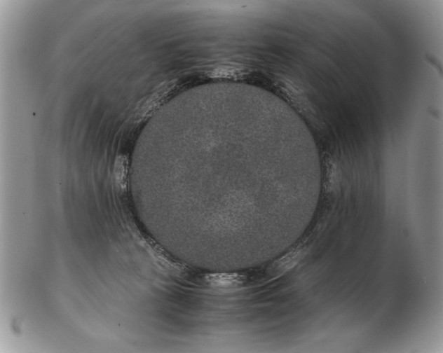 X0000102380273200808221809