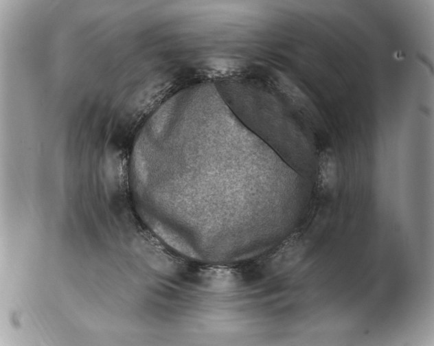 X0000102380276200808221809