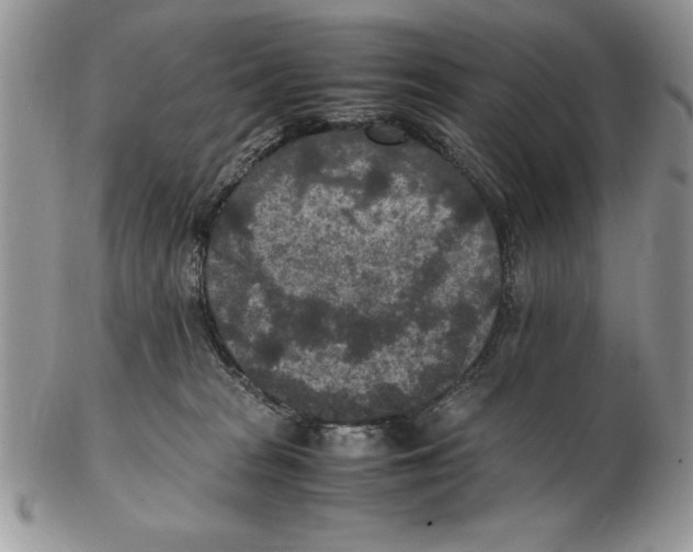 X0000102380277200808221809