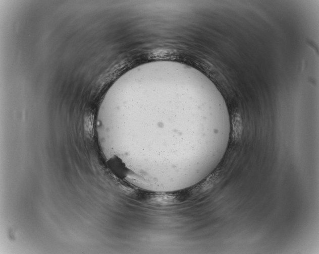 X0000102380278200808221809