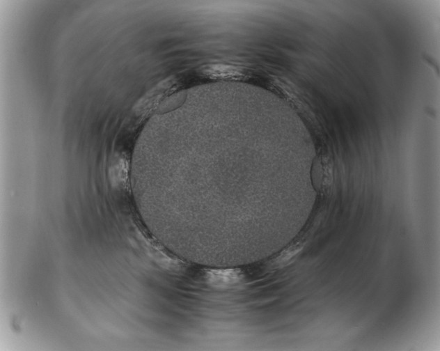 X0000102380281200808221809