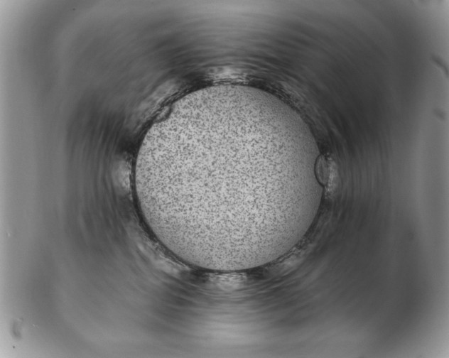 X0000102380282200808221809