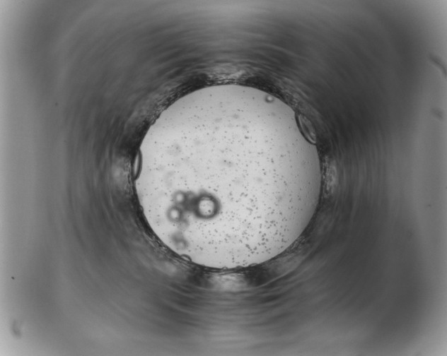 X0000102380283200808221809