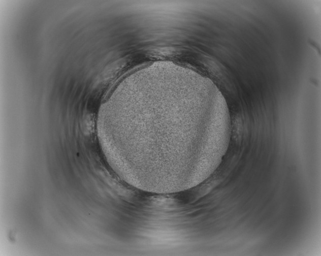 X0000102380284200808221809