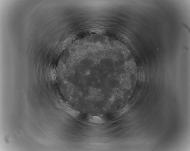 X0000102380285200808221809