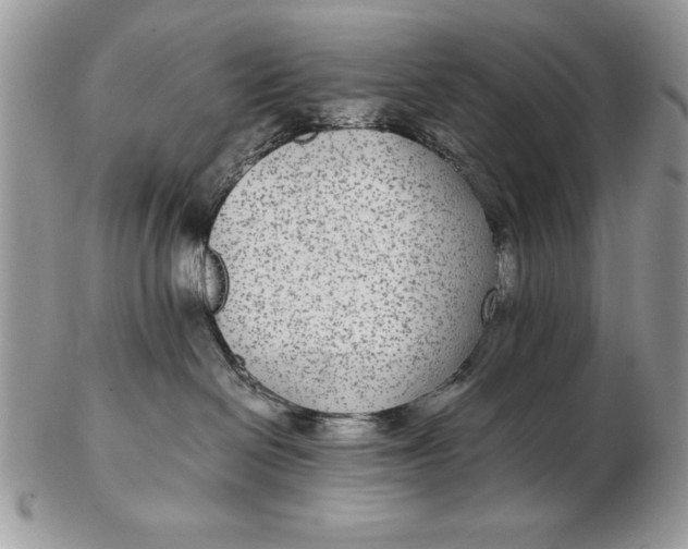 X0000102380286200808221809