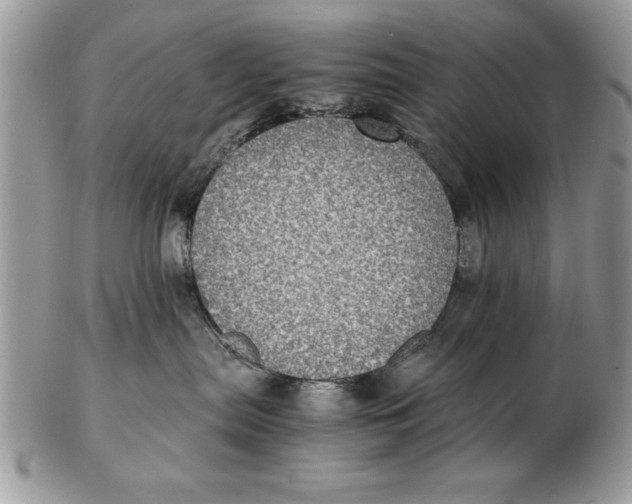 X0000102380287200808221809