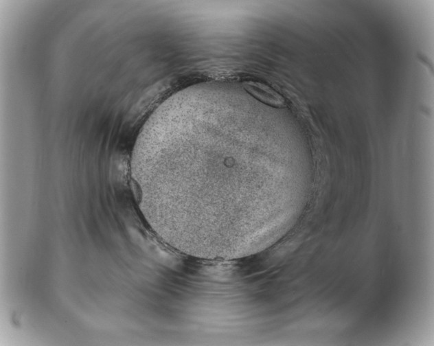 X0000102380288200808221809