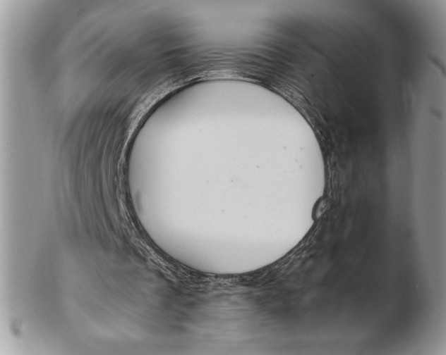 X0000102380289200808221808