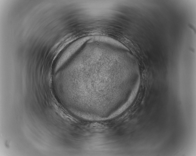 X0000102380290200808221808