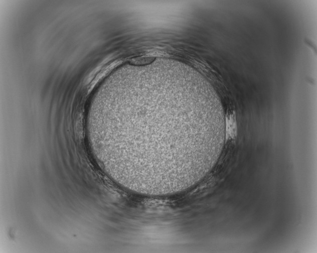 X0000102380291200808221808