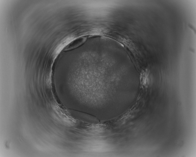 X0000102380292200808221808