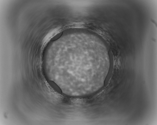 X0000102380293200808221808