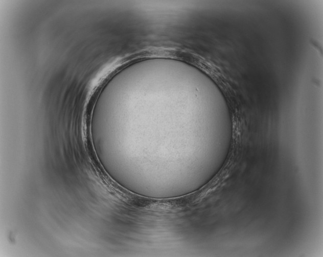 X0000102380294200808221808