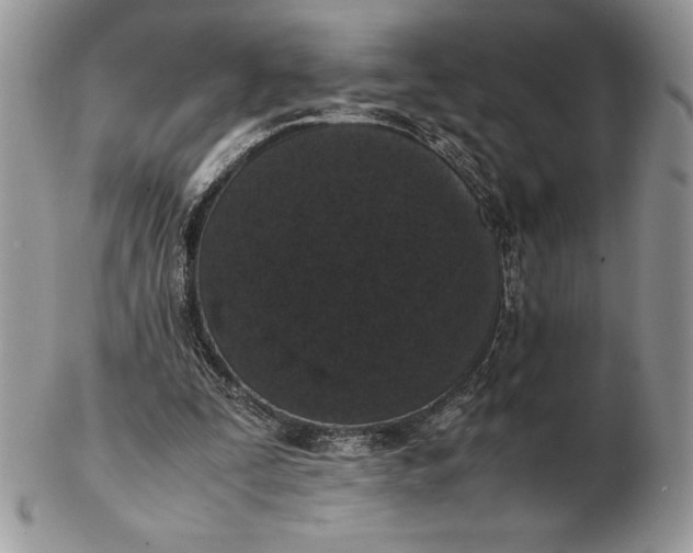 X0000102380295200808221808