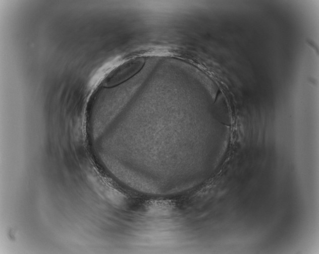 X0000102380296200808221808