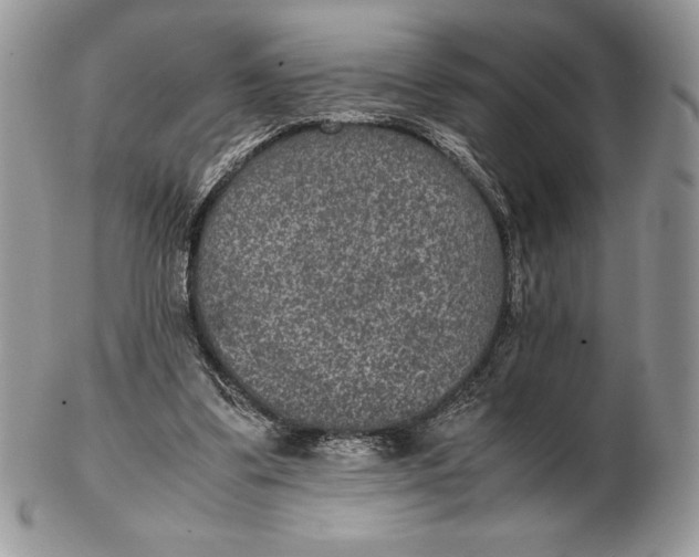 X0000102380299200808221808