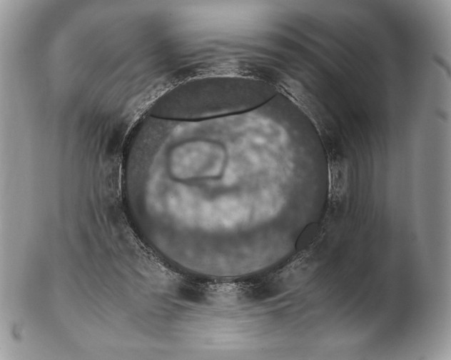 X0000102380301200808221808