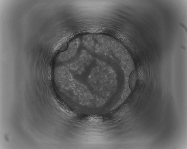 X0000102380303200808221808